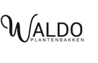 logo waldo-min